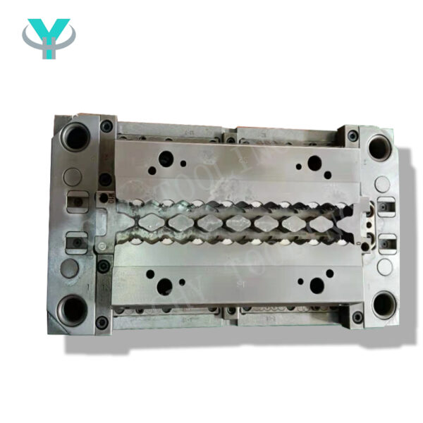 2 shots Precision Mold Bi-injection Mold #3 #2